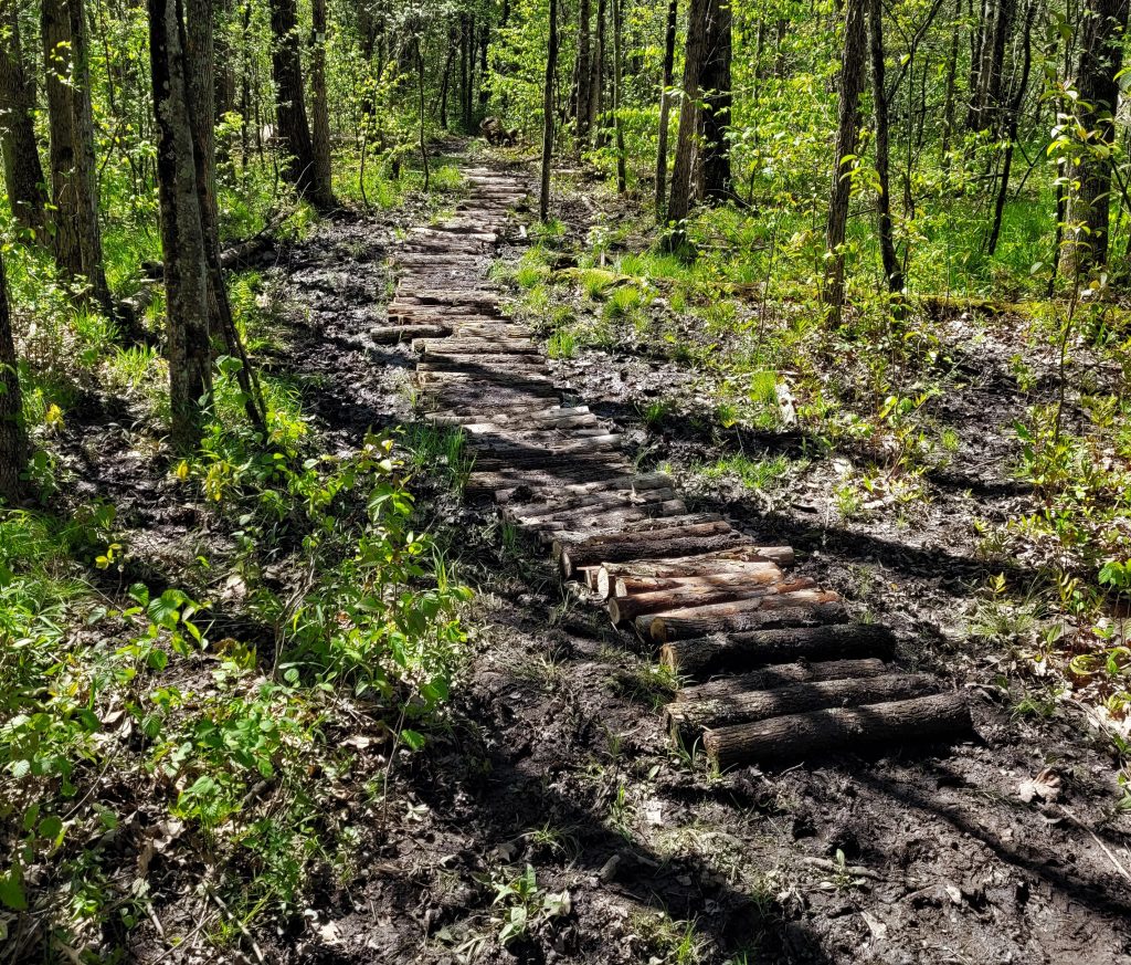Trail repair highlight