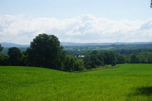 Saratoga PLAN places a Conservation Easement on the Cocozzo Family Farm