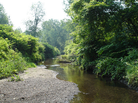 Kayaderosseras Creek Preserve and Thomas Property are conserved