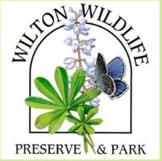 Summer Discovery Hikes in Partnership with Wilton Wildlife