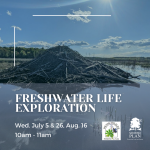 Freshwater Life Exploration: Round Lake Preserve