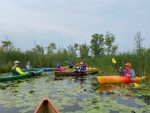 Educational Paddle