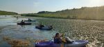 Water Chestnut Pull