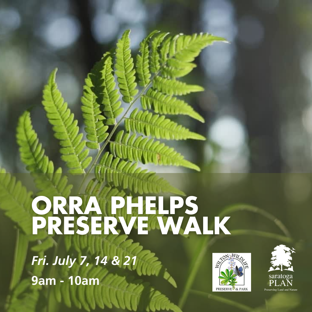 Orra Phelps Nature Preserve Walk