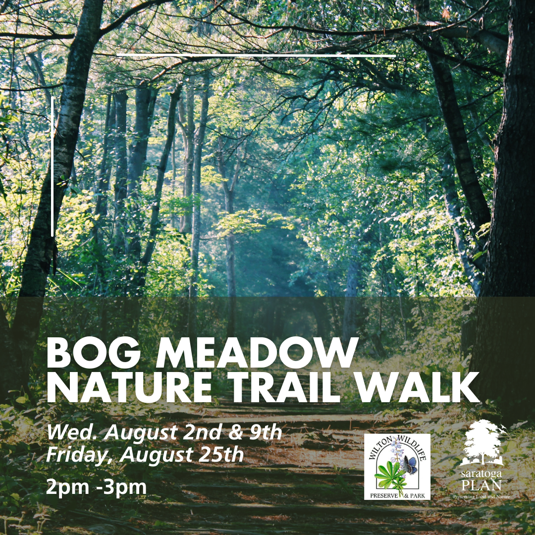 Bog Meadow Nature Trail Walk