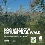 Fall Guided Walks - Bog Meadow Brook Nature Trail