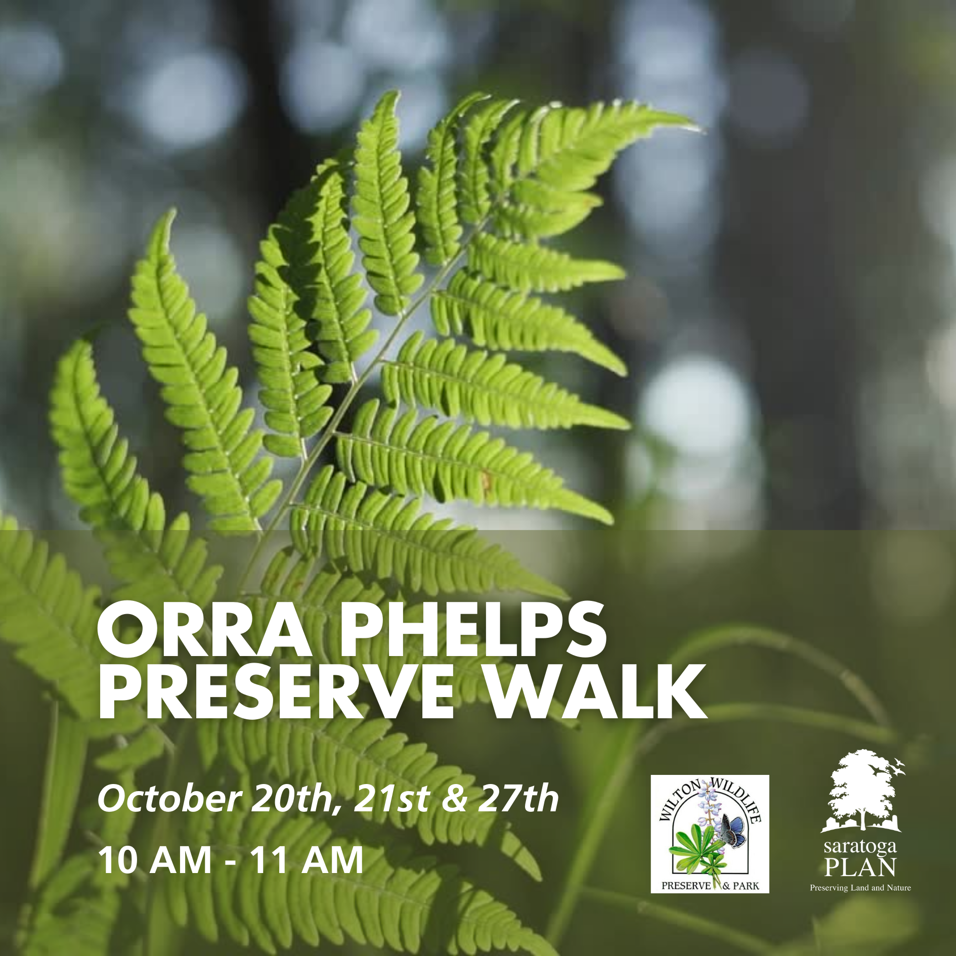 Guided Walk: Orra Phelps Preserve