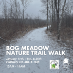 Guided Winter Walks - Bog Meadow
