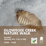 Guided Winter Walks - Glowegee Creek Preserve
