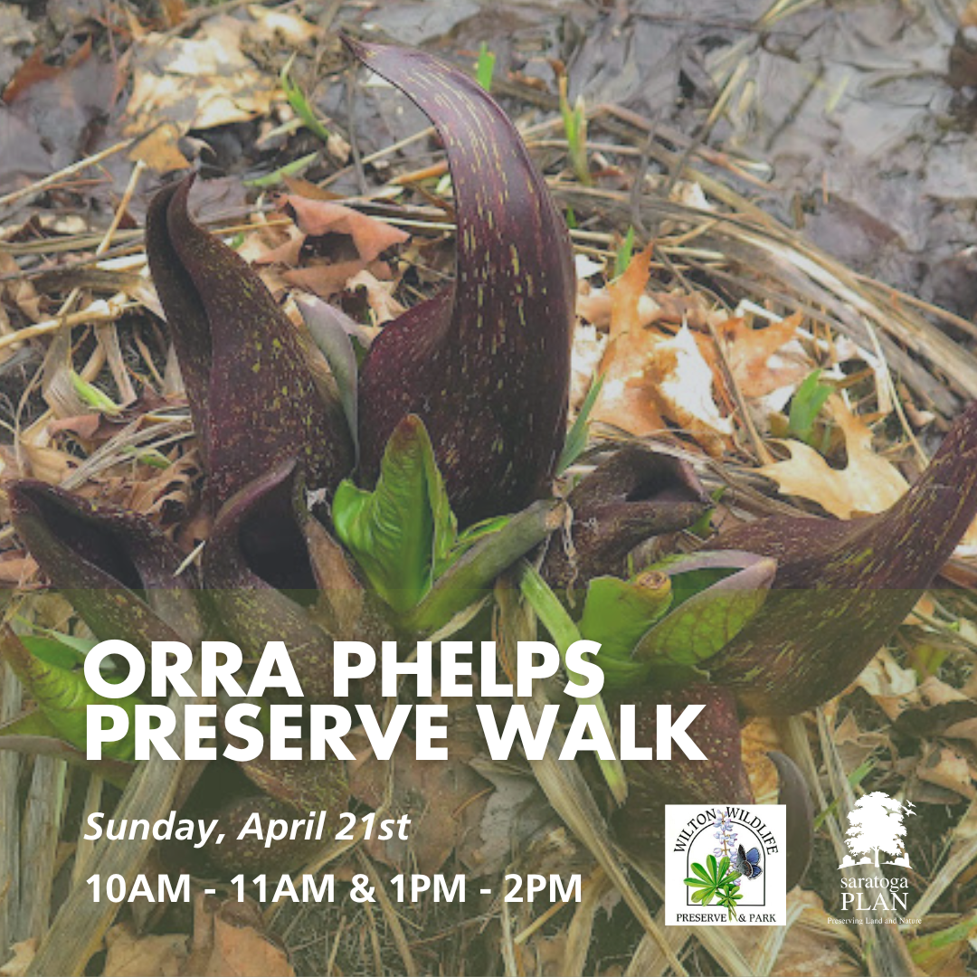 Guided Walk - Orra Phelps Nature Preserve