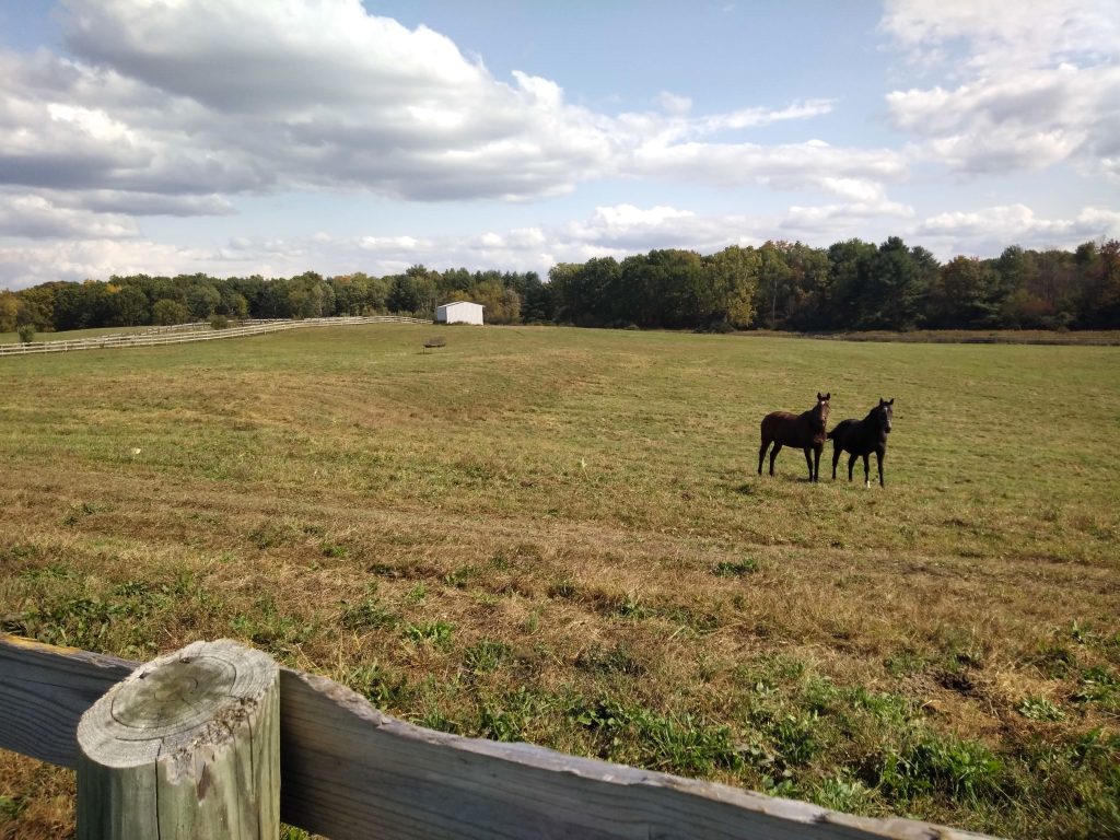 Conservation of Questroyal North Farm by Saratoga PLAN Connects 4,500+ Acres of Conserved Lands