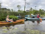 2025 Water Chestnut Pull