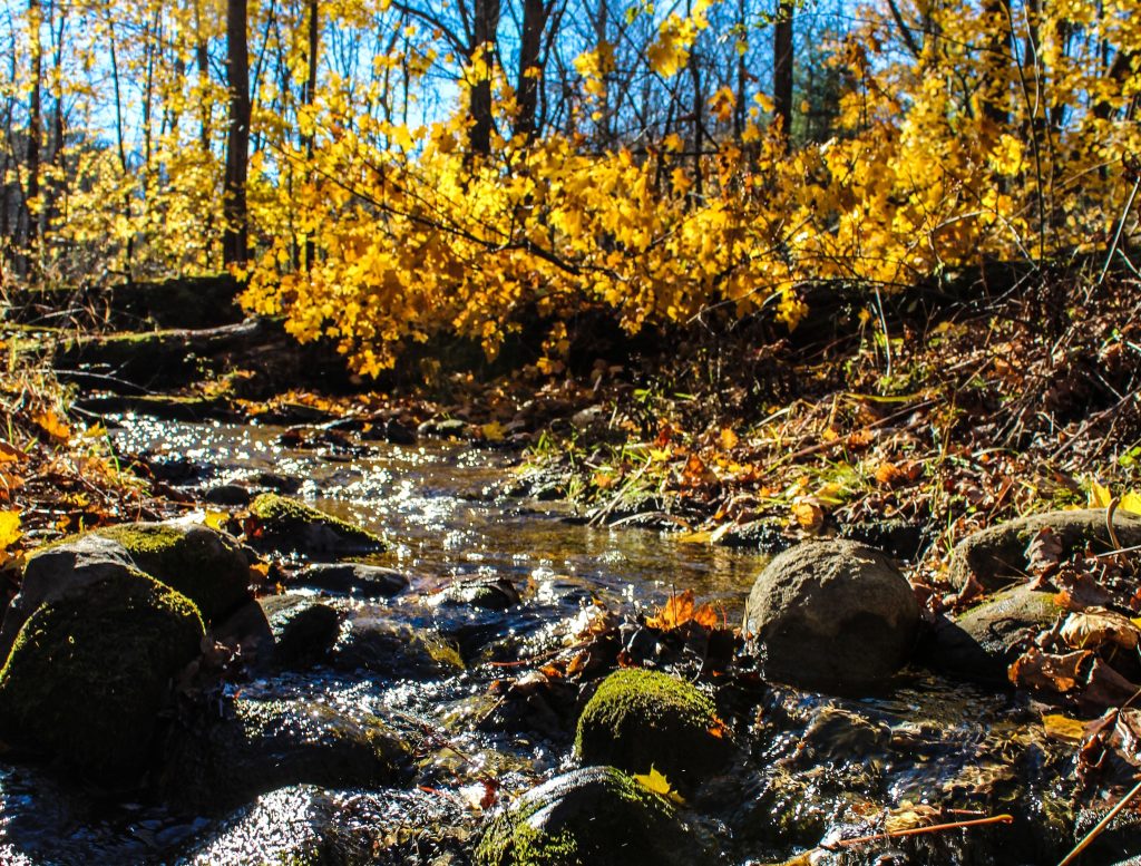close up stream