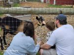 Saratoga Farm Showcase
