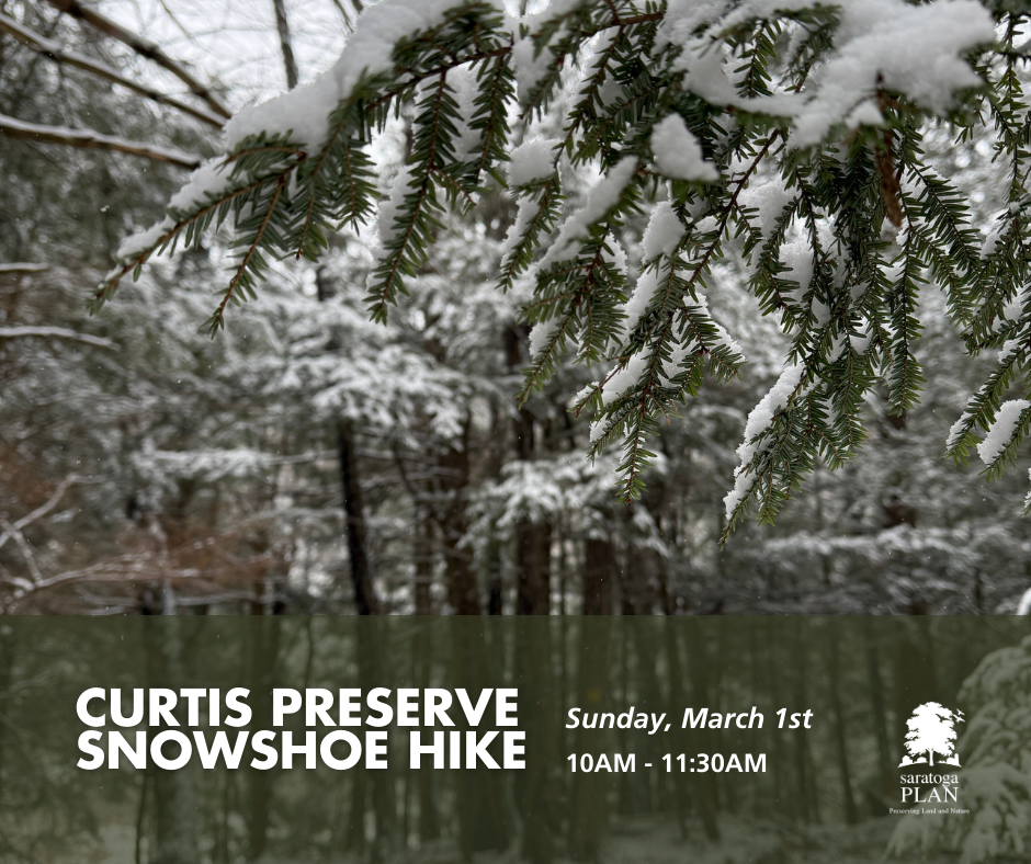 Snowshoe Hike at Curtis Preserve