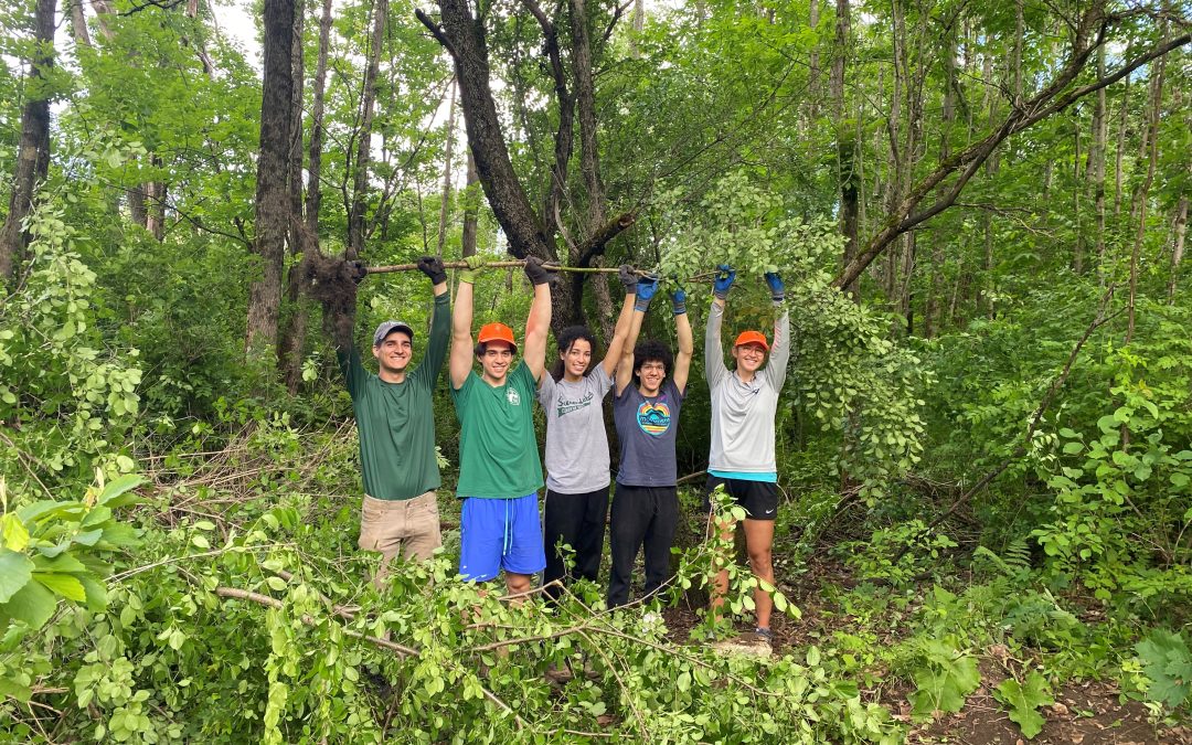 Habitat Restoration Day