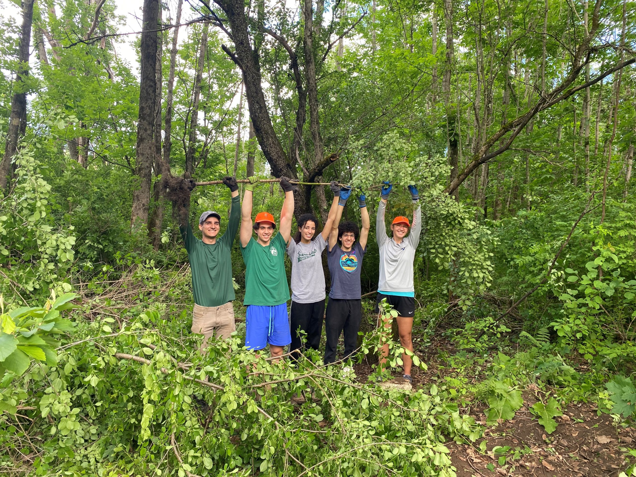 Habitat Restoration Day