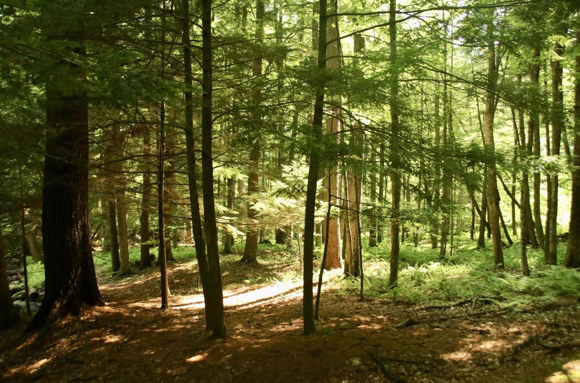 Saratoga PLAN Earns National Recognition